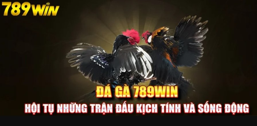 Kinh nghiệm chơi game đá gà 789win