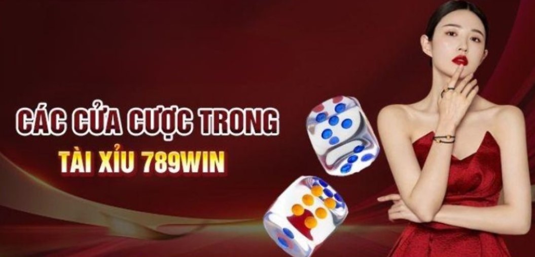 Tìm kiếm trang chủ nhà cái 789win trên cáo việt nhanh chóng, uy tín